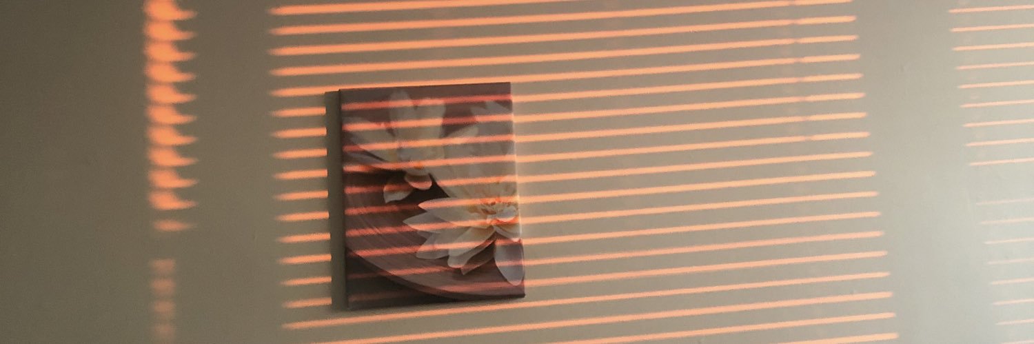 Elizabeth Spenst banner