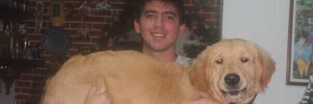 Daviddm20's profile banner image