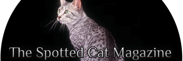 SpottedCatMag Profile Banner