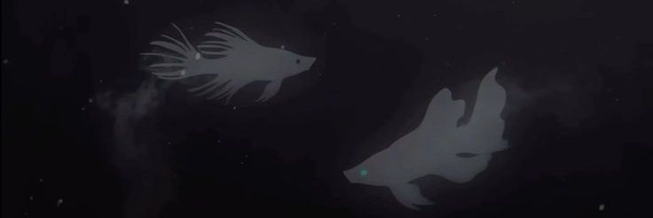 ccldpIay's profile banner image