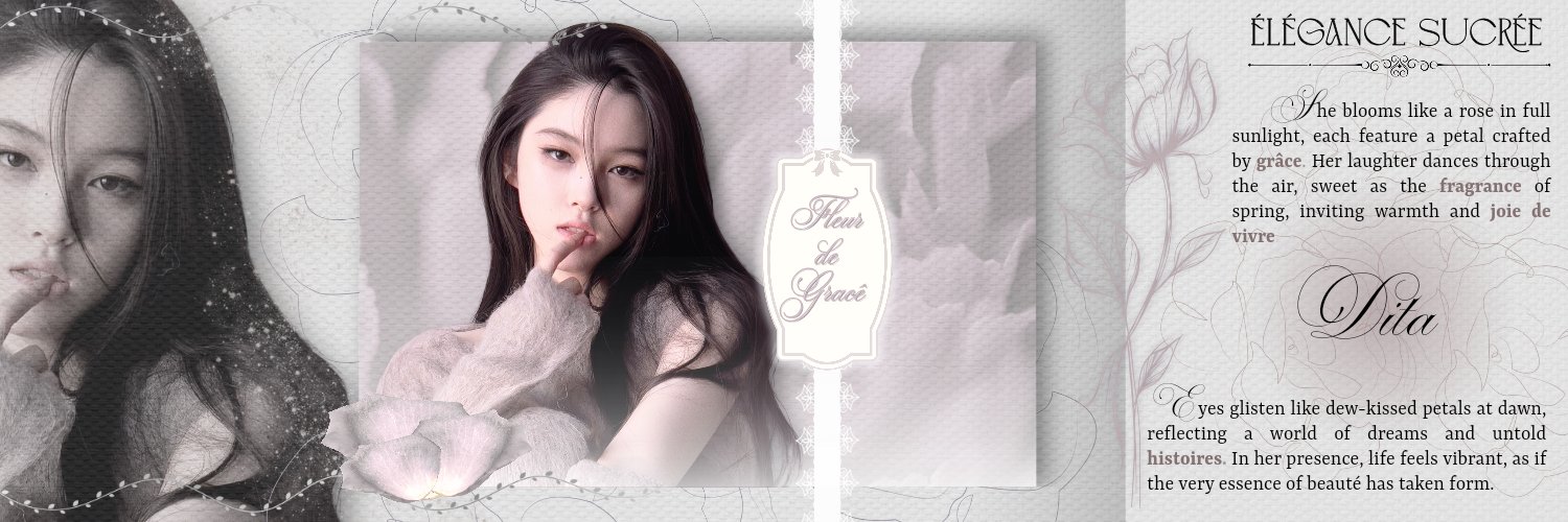 dita banner