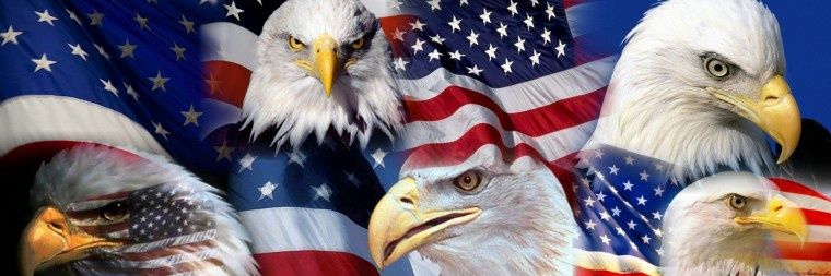 TomHerrick12's profile banner image