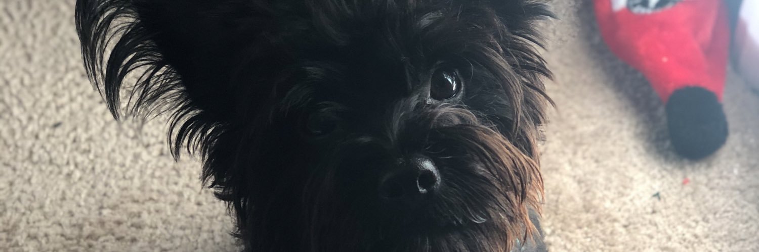 LoganSchnabl's profile banner image