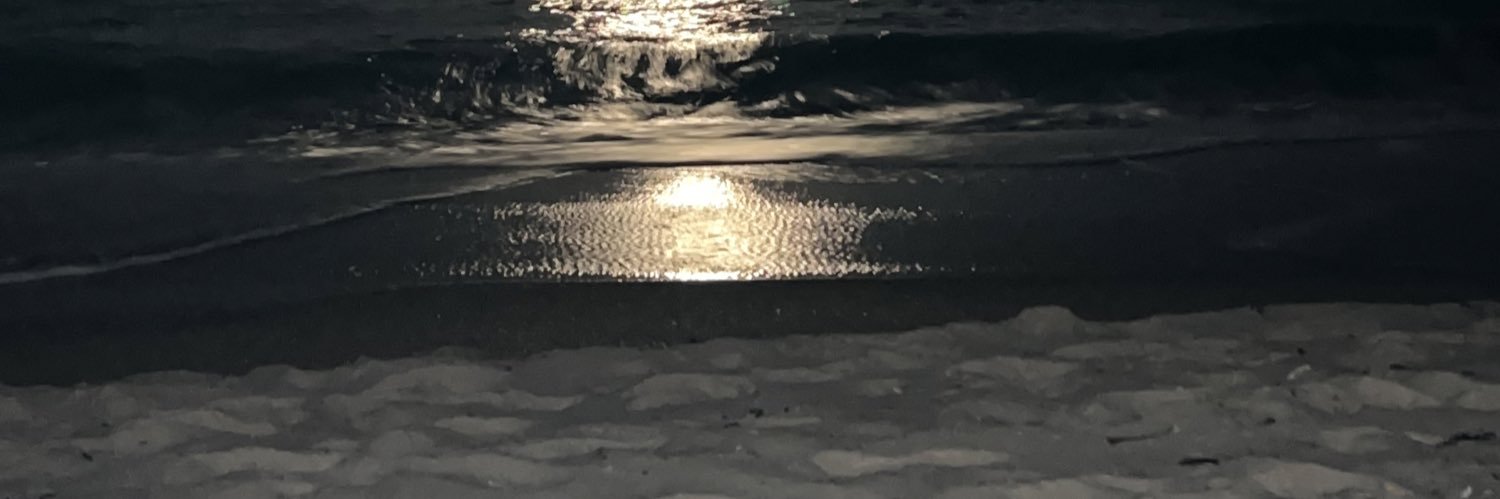 AlainaGTaylor's profile banner image
