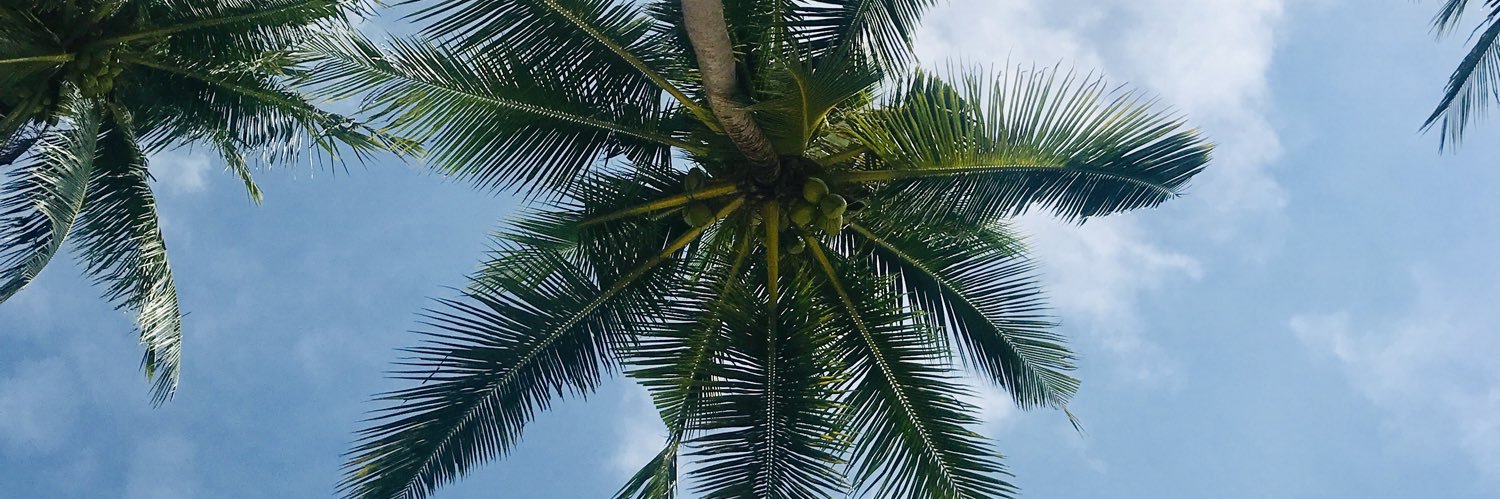 jazzbennett_'s profile banner image