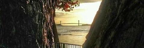 ynd28's profile banner image