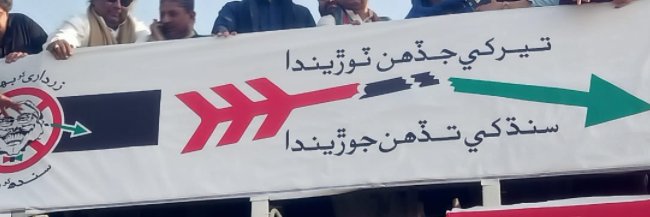 Ali Raza banner