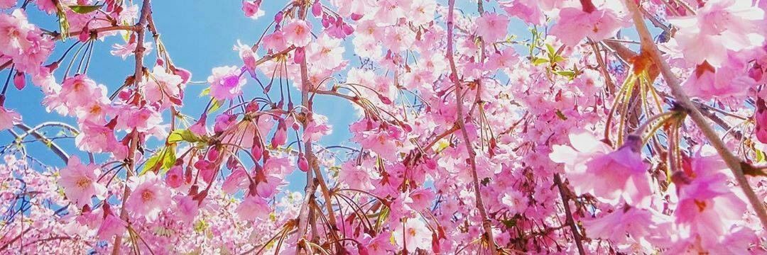 putriyuniii's profile banner image