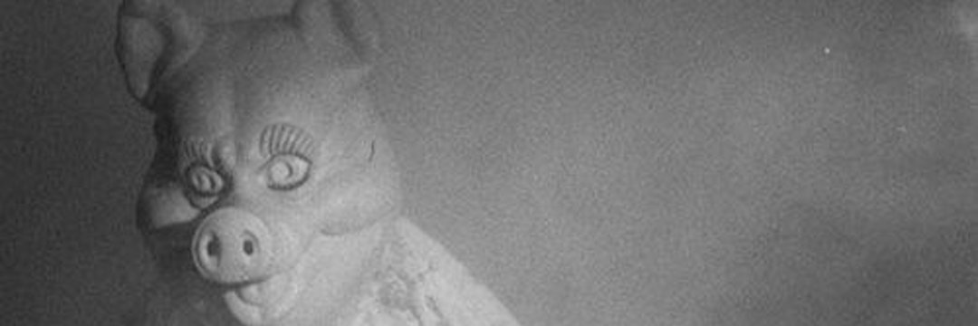 MisaExcentrico's profile banner image