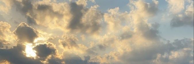 0xHNFE banner