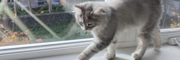 okijoona Profile Banner