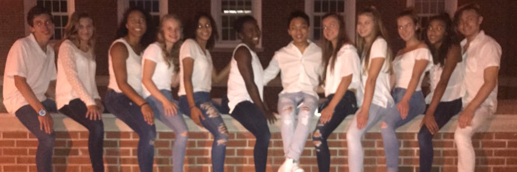 StaggHScheer's profile banner image