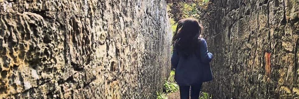 l_silvaac's profile banner image