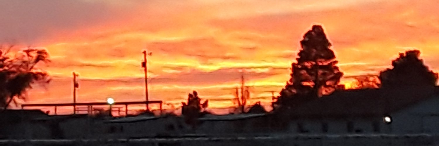 Laura Morales banner