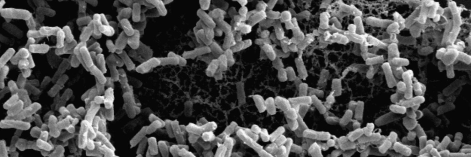 The Chai Research group banner