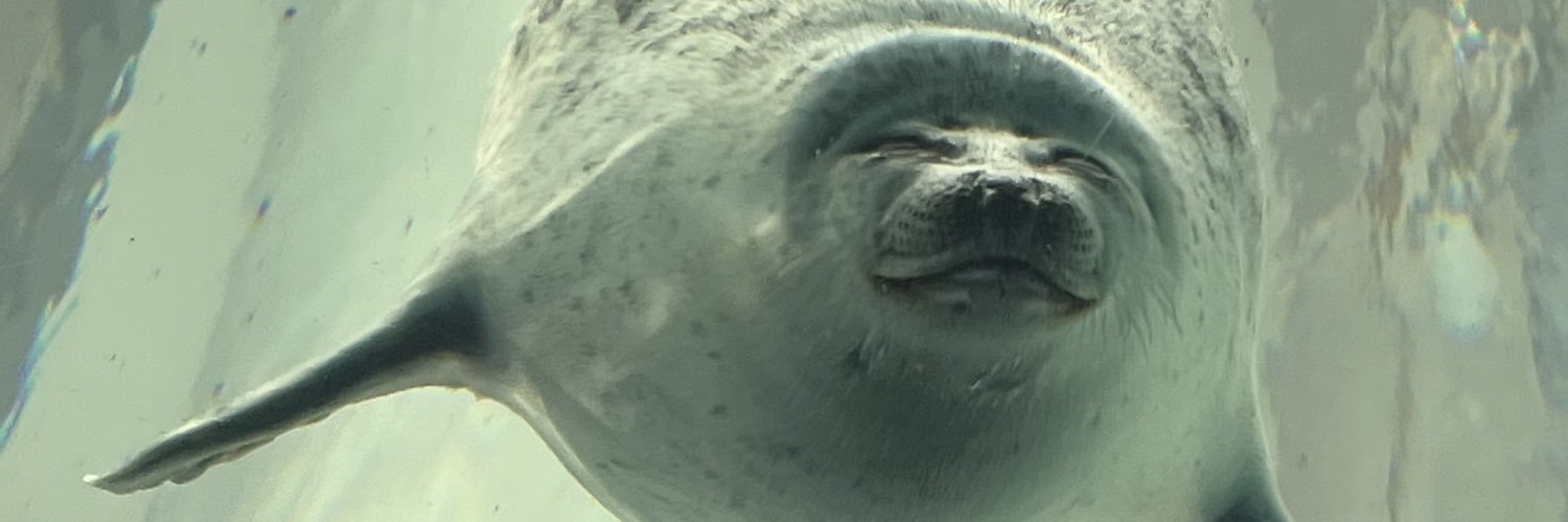 あねびーわーくす banner