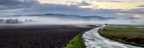 vesnický rajče Profile Banner