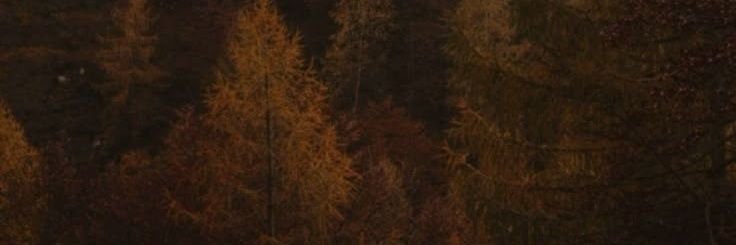 ewphoria_'s profile banner image