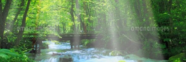 Been_550's profile banner image