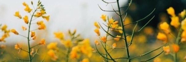 غدق🌨⚘⚘ banner