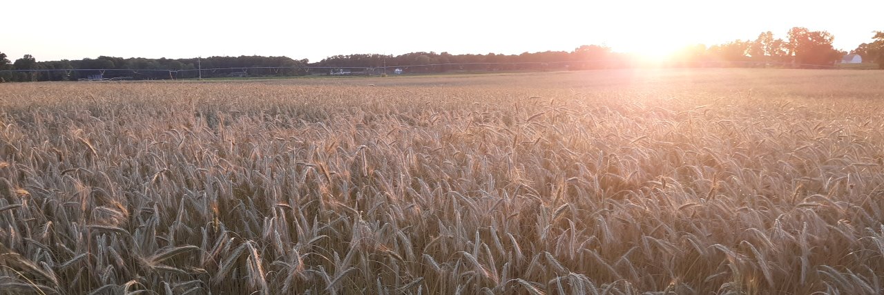 John David Kroeger banner