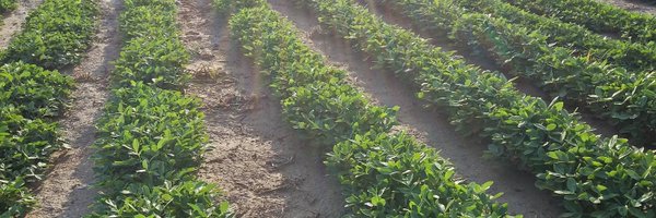 IntaGralCabrera Profile Banner