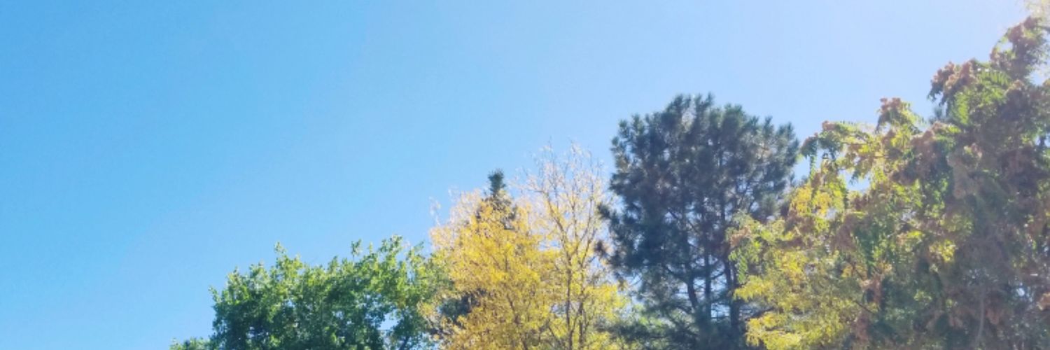 phrenetis's profile banner image