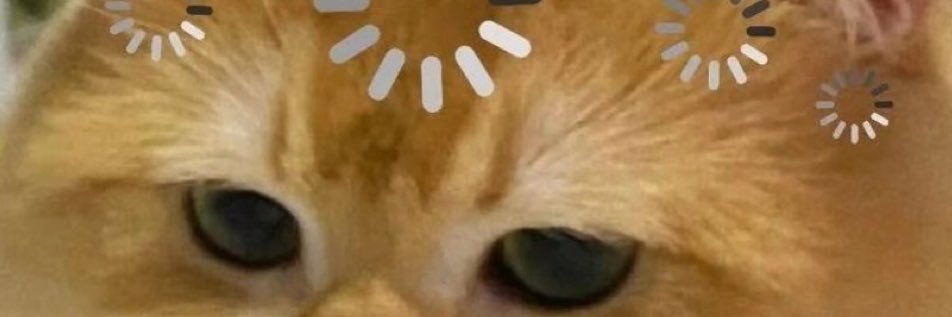 caglasoledad's profile banner image