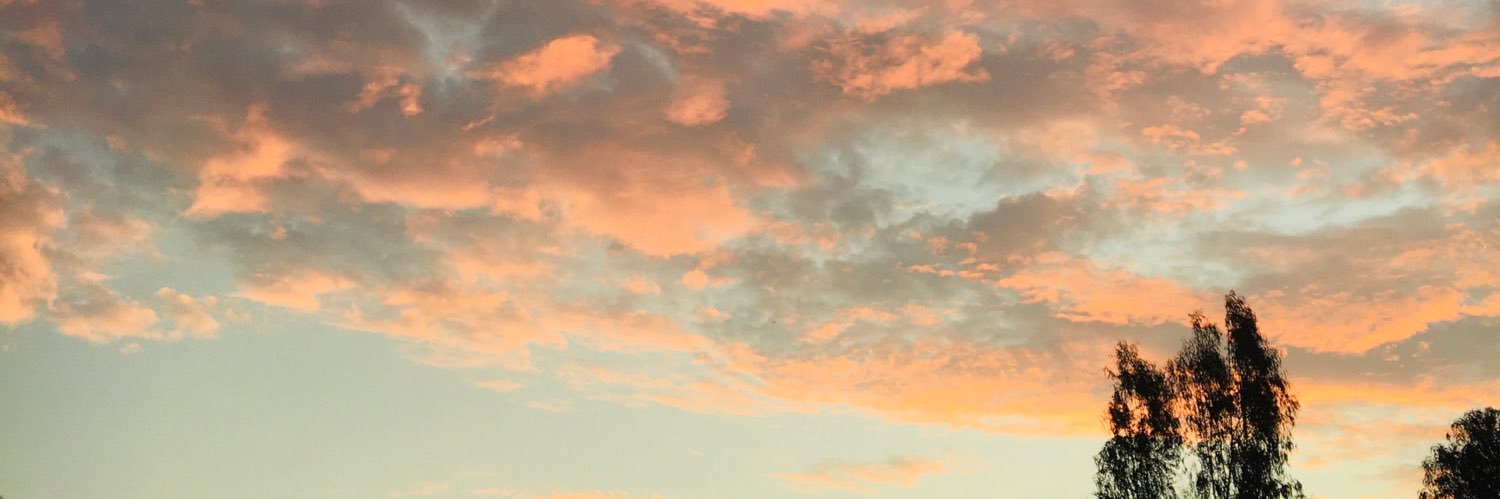 TelloAnaiss's profile banner image
