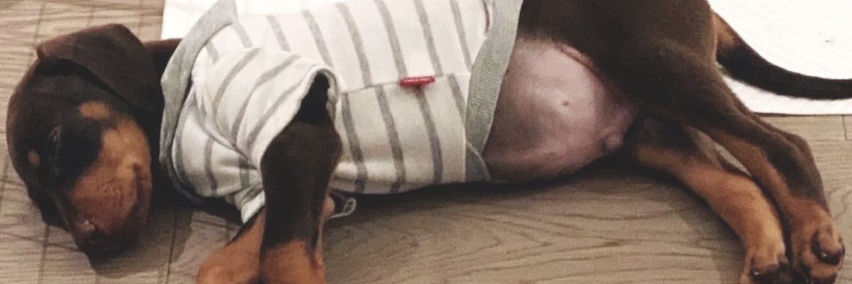 taeguster's profile banner image
