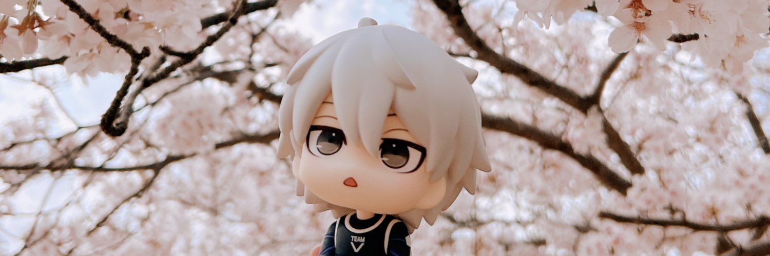 555Bsb's profile banner image