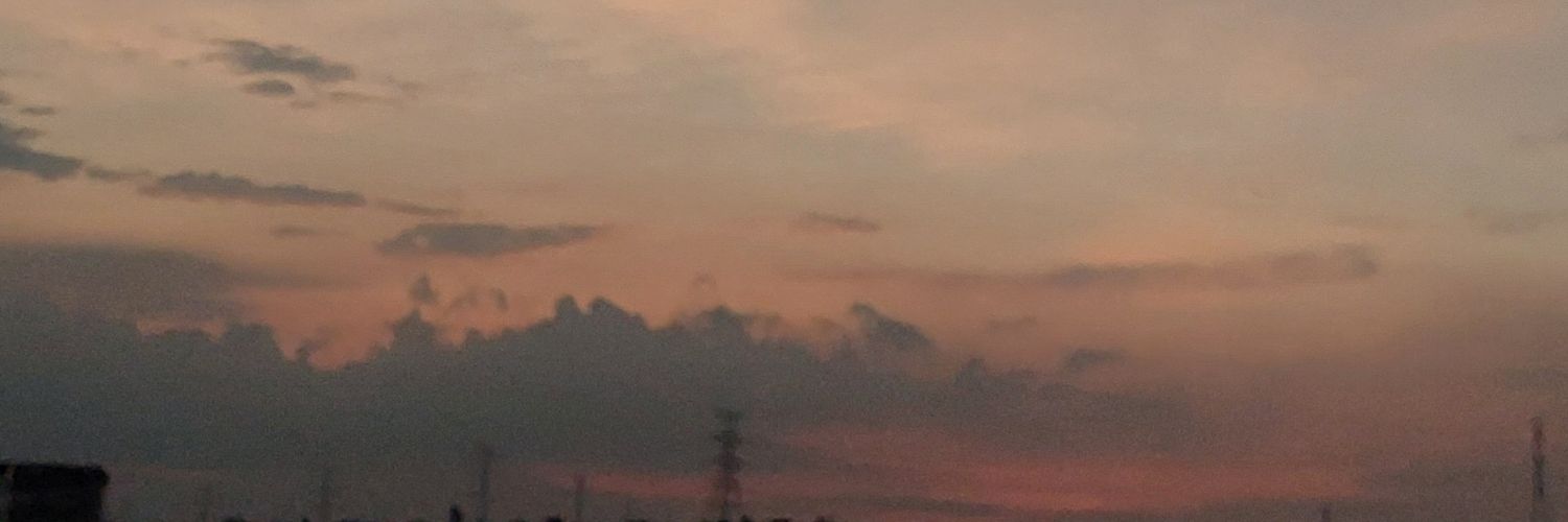 violan_vf's profile banner image