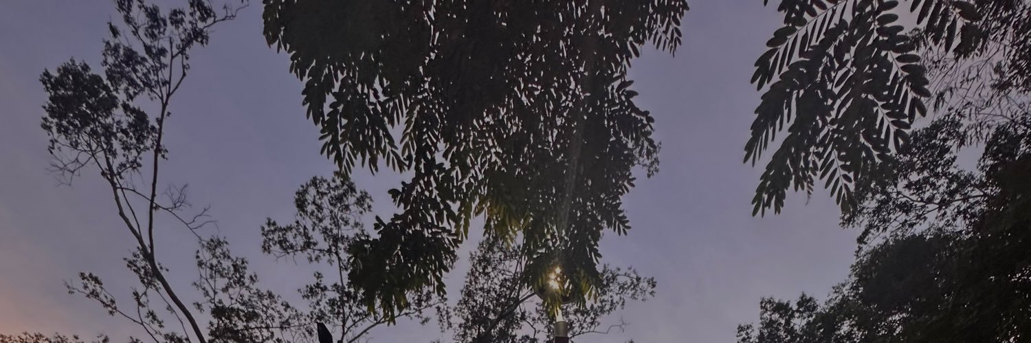 Sen2Kbrn21's profile banner image