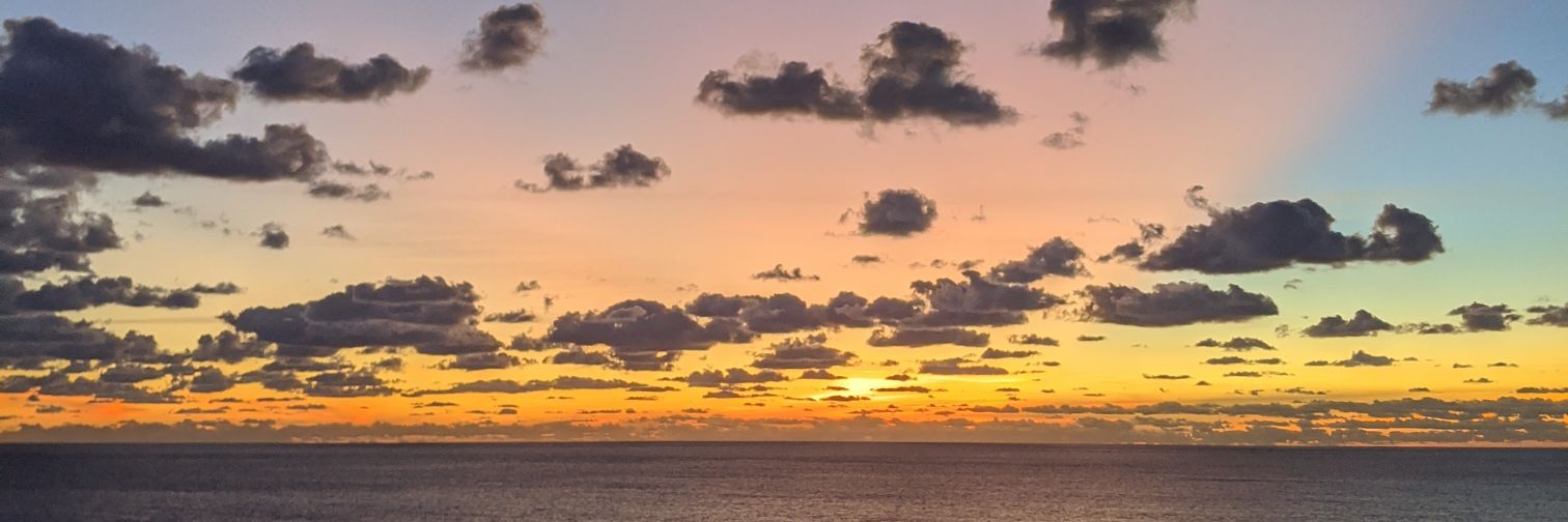 🍍Sadie Edwards🍍Carnival Venezia 11/15-22 banner