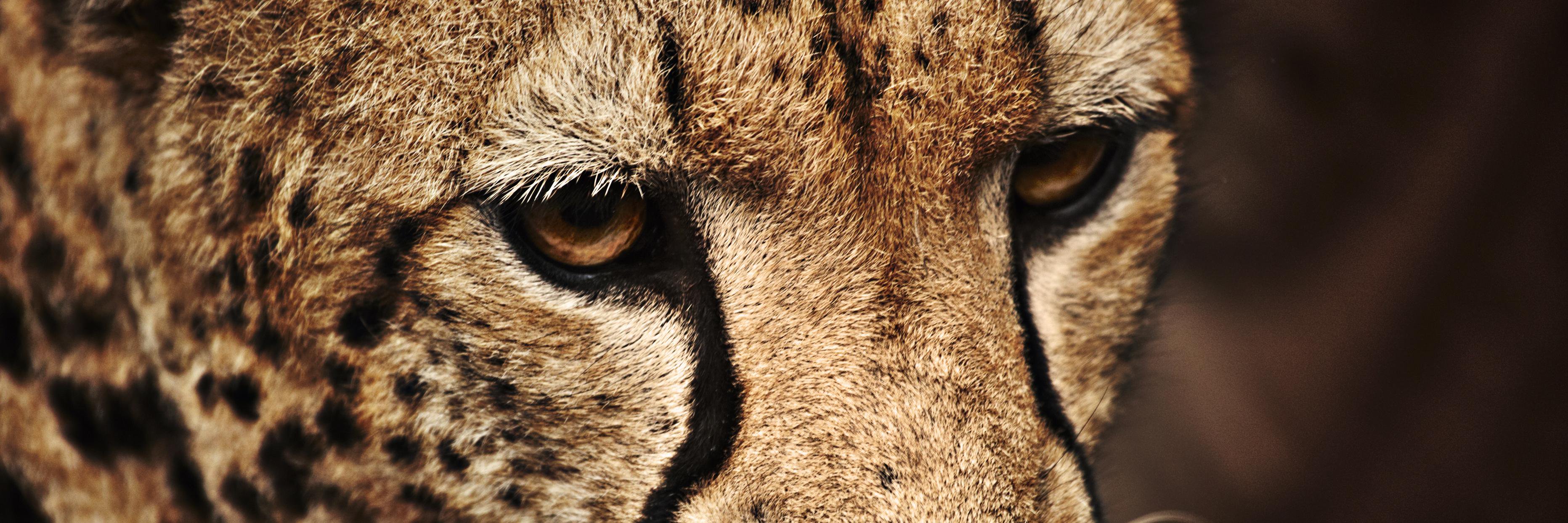 sumitkumar4556's profile banner image