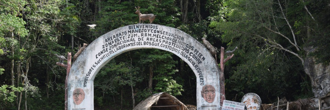 Voices from Forests & Farms banner
