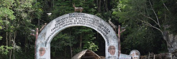 DavidKaimowitz Profile Banner