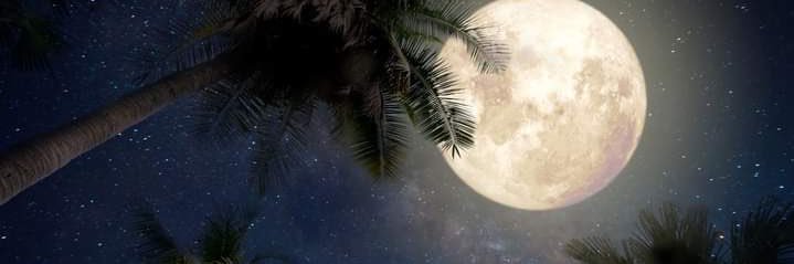 STR3akchat banner