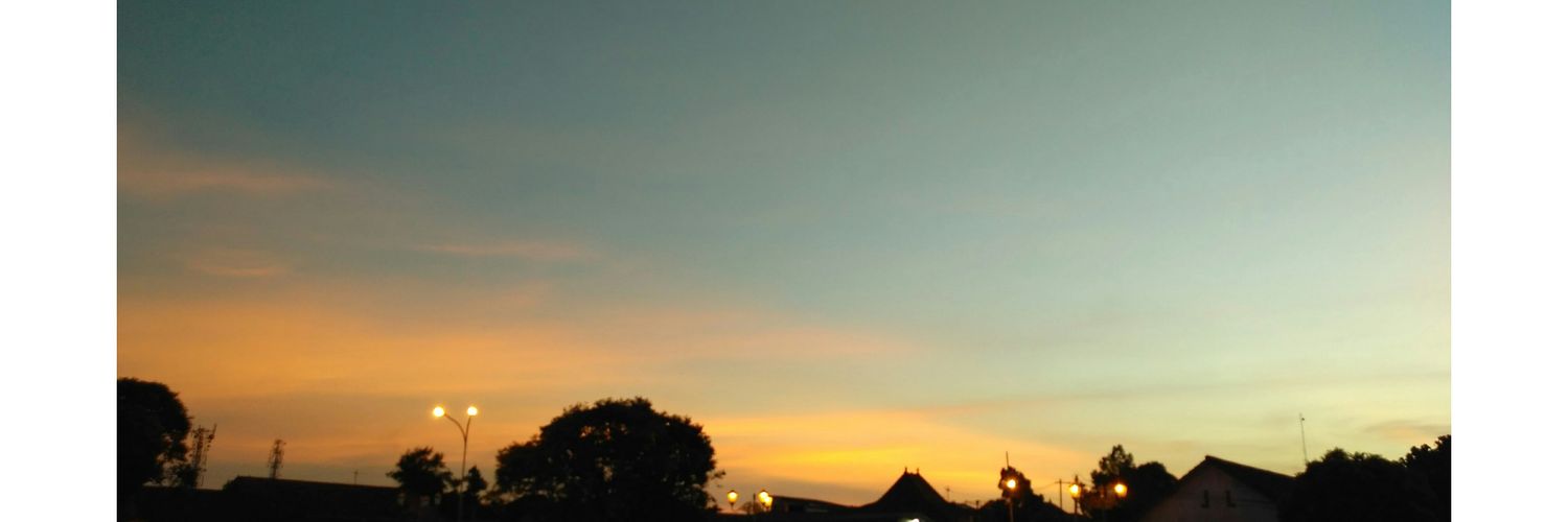 adelaisnn's profile banner image