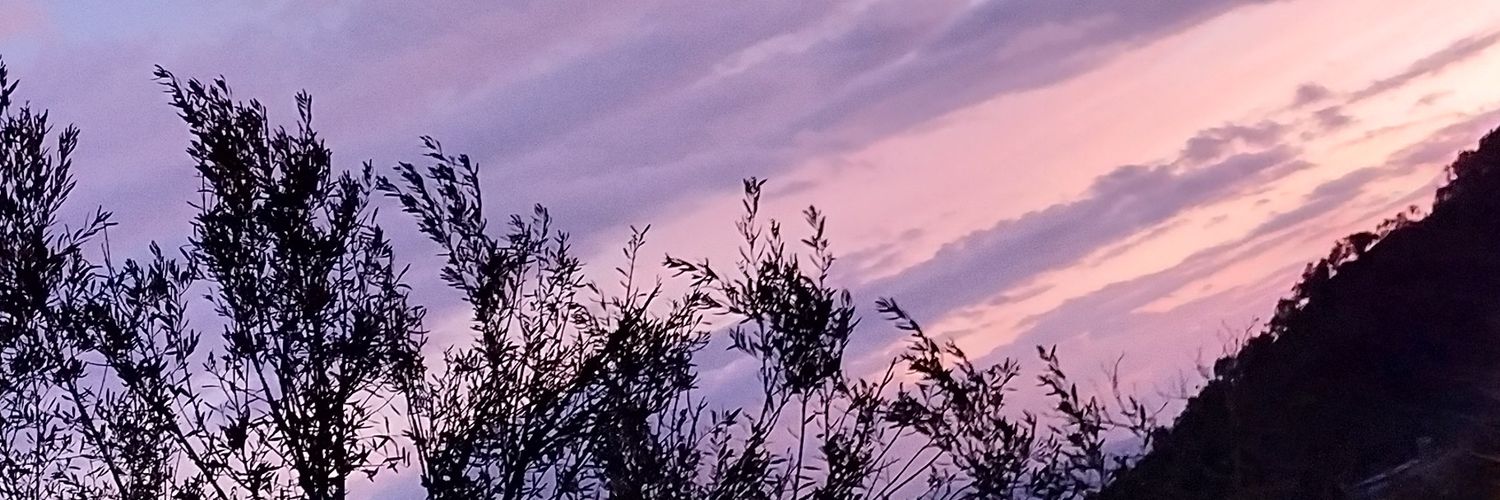 beydaaltay's profile banner image