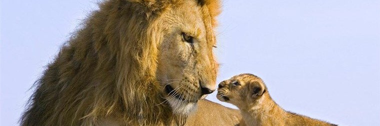 ajay_369's profile banner image