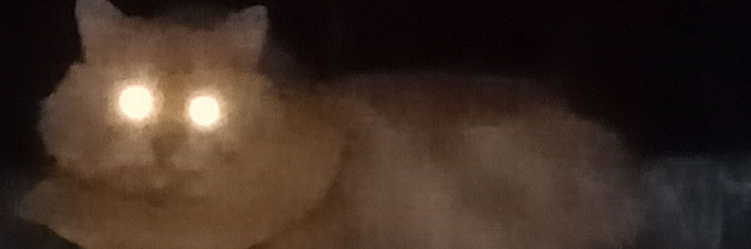 Mhni131's profile banner image