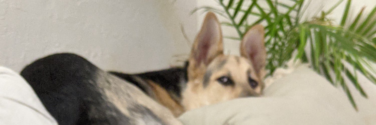 Tanner banner