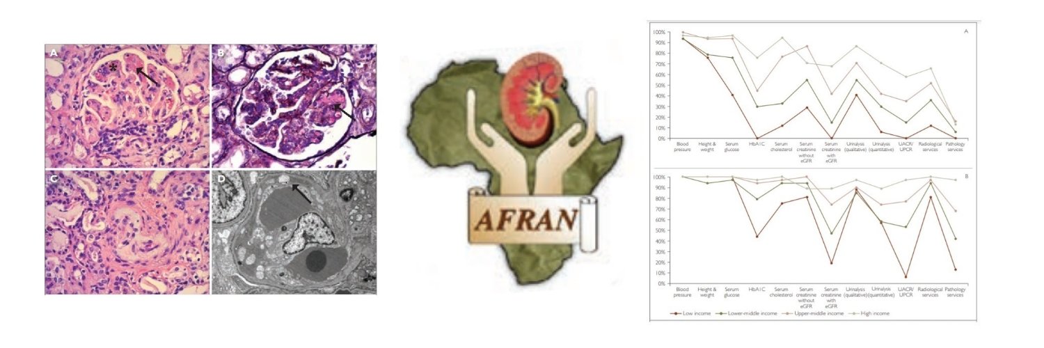 AfricanJNephrol banner
