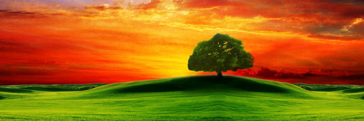 SummertreeWatch's profile banner image