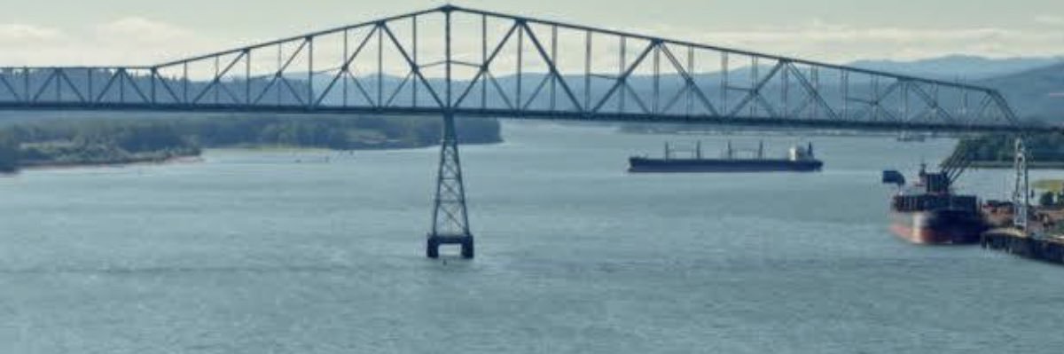 Wildiris2021's profile banner image