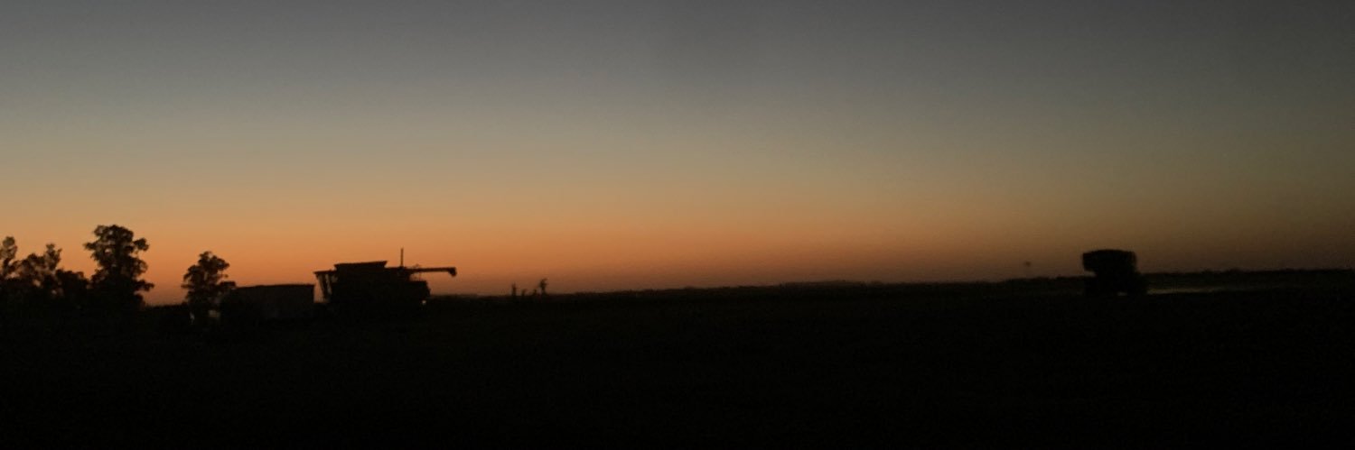 frann_dipalma's profile banner image