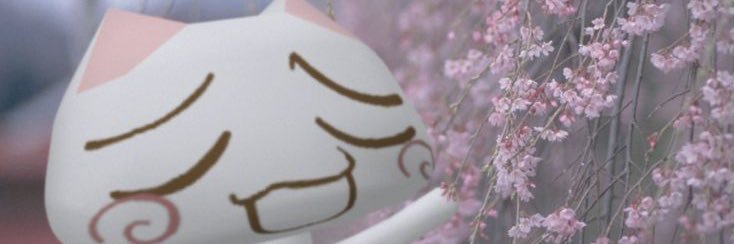 looberzz's profile banner image