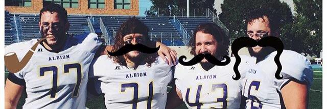 Steely Dalton banner