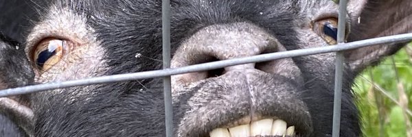 theAlexWhitmore Profile Banner